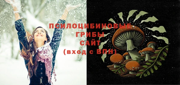 ALPHA-PVP Гусев