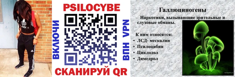 Купить  Лукоянов  Галлюциногенные грибы Cubensis 